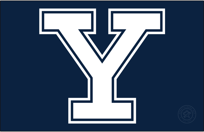 Yale Bulldogs 2019-Pres Primary Dark Logo diy iron on heat transfer